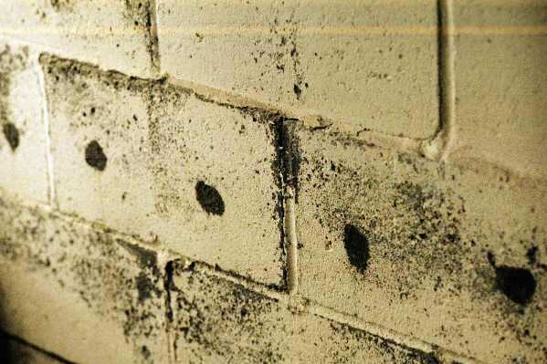 Termite treatment of hollow block foundation